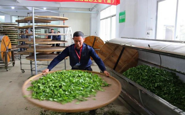 漳州乌龙茶制作技艺、闽南功夫茶习俗被列入市非遗