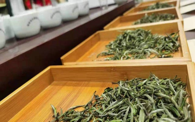2021中国白茶产销形势调研报告
