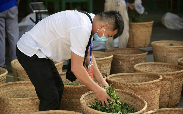 关于邀请各茶企入驻中国白茶（福州）交易中心的通知