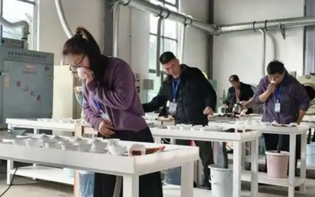 永春首届“一叶一问”杯闽南水仙茶品评交流赛落幕