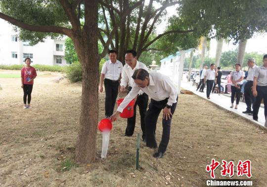 江丙坤为六年前栽的樟树施肥浇水。 严利人 摄