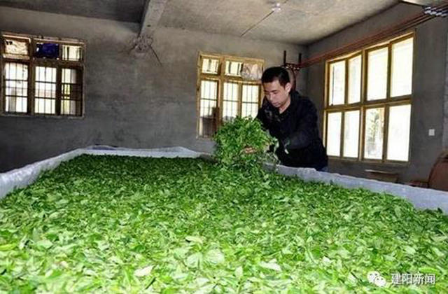 新闻&活动"携籝北岭西,采撷供茗饮.一啜夜窗寒,跏趺谢衾影.