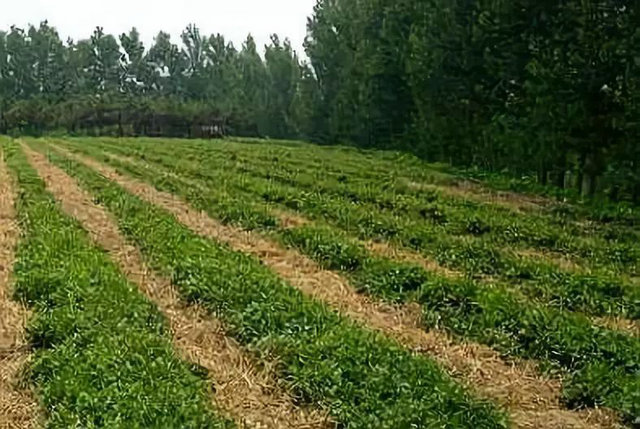 c6d3ef8708562c56e4e30c9b43c0b10b.jpg