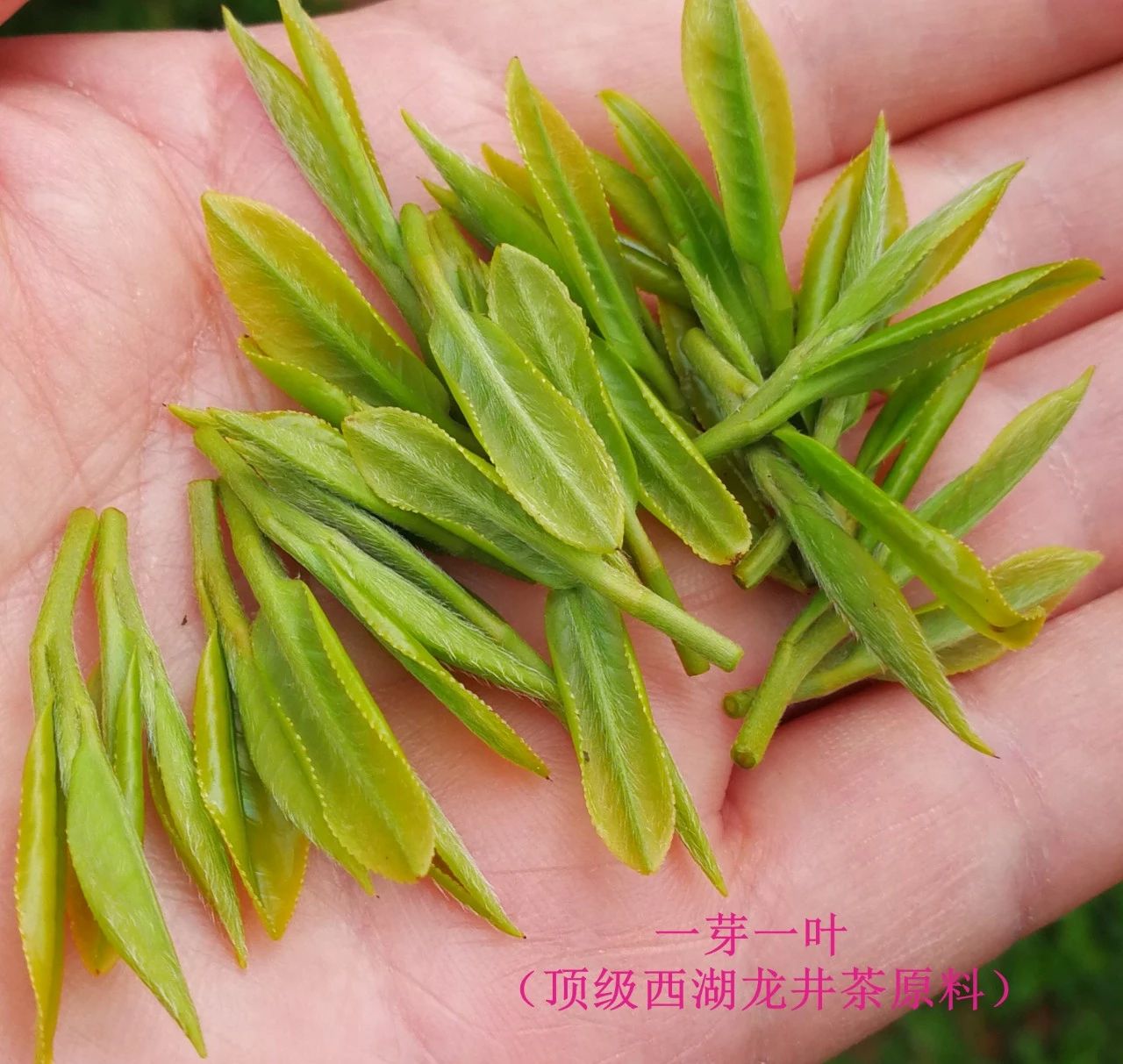 c28ecb96ff5f239d40d09d554a73557f.jpg
