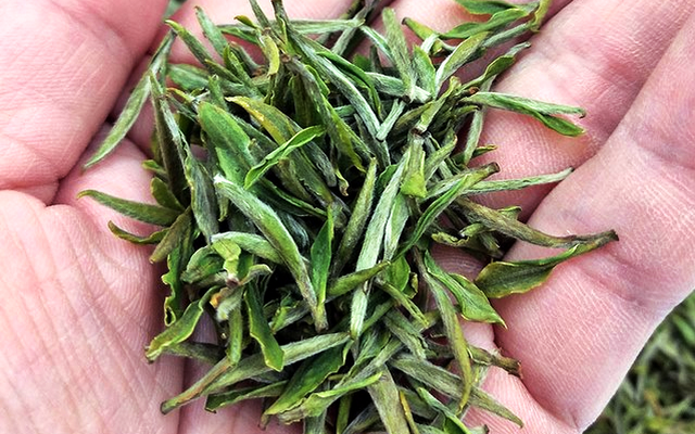 5295bc5b5d83e99980852ae4359d3e6f.png 5295bc5b5d83e99980852ae4359d3e6f.png