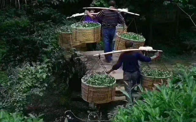 6ee5feca83e2d7c0f194643fa5102a47.jpg 6ee5feca83e2d7c0f194643fa5102a47.jpg