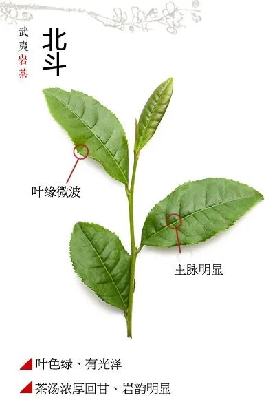 1740abf6badfd6d9a5756ec69551c106.jpg