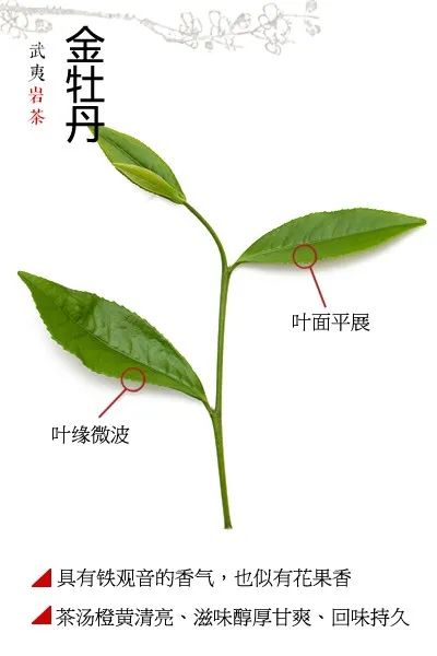 a5cf21cb0515b096708f94253c5d8e63.jpg