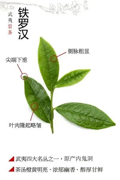 c38fd9408acbee173b4d8cdd762d5c1f.jpg