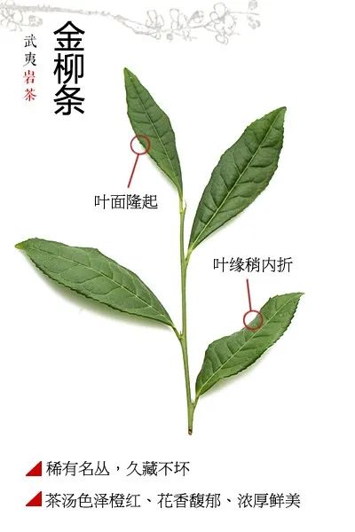 f4831cae12a3ea5e61031fdfbe3324fa.jpg