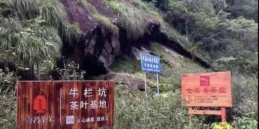 3f68f4c21fc7f38c496397478882099b.jpg 3f68f4c21fc7f38c496397478882099b.jpg