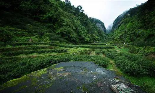 66d948cd181a60a93ac48d5f7f77ff34.jpg 66d948cd181a60a93ac48d5f7f77ff34.jpg