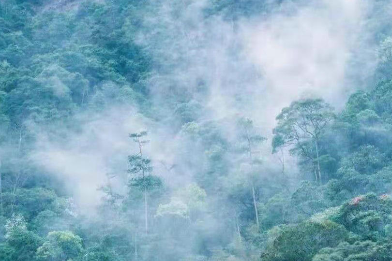 9037a44840c7fed077d284d4a089fe9a.jpg 9037a44840c7fed077d284d4a089fe9a.jpg