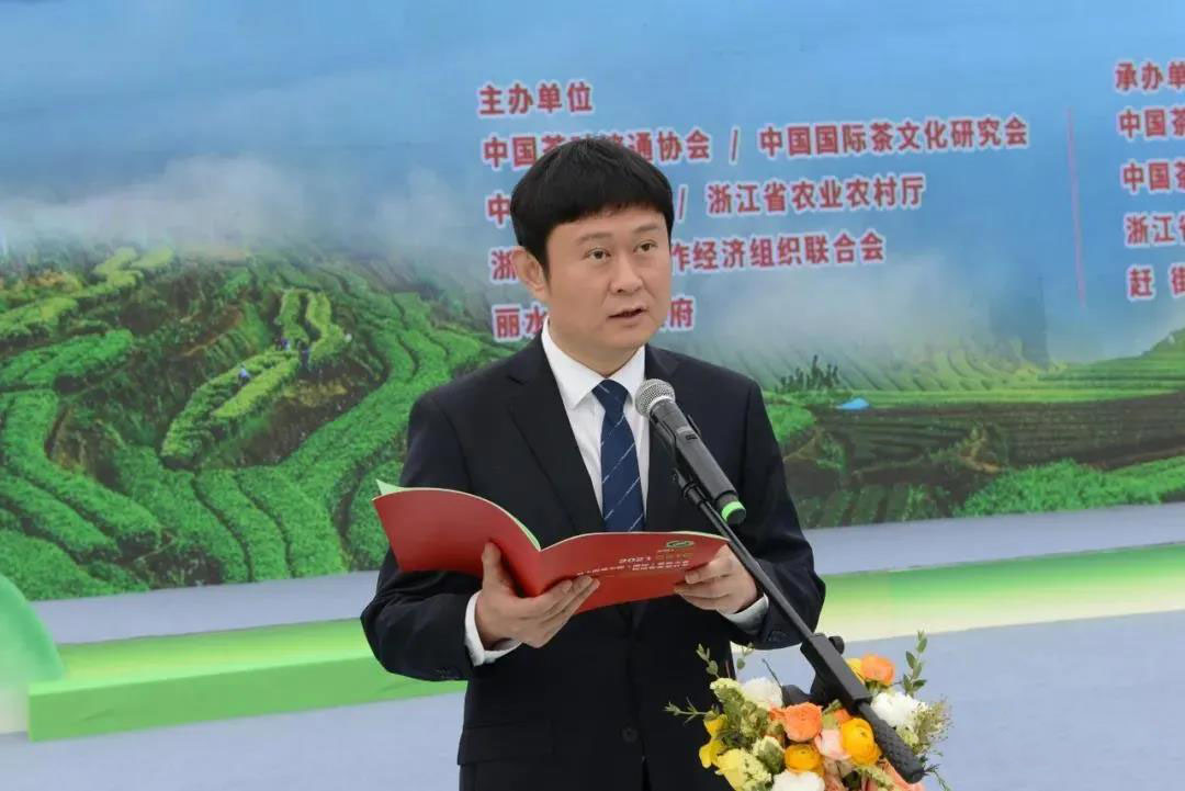松阳县委副书记,县长莫靓主持