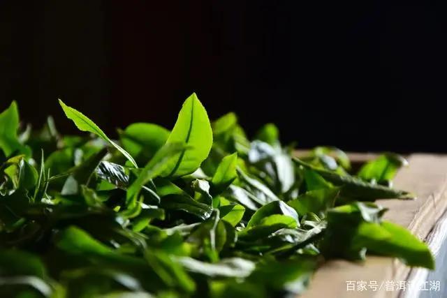 95c60532b68b181f2cca36c312c0fd65.jpg 95c60532b68b181f2cca36c312c0fd65.jpg