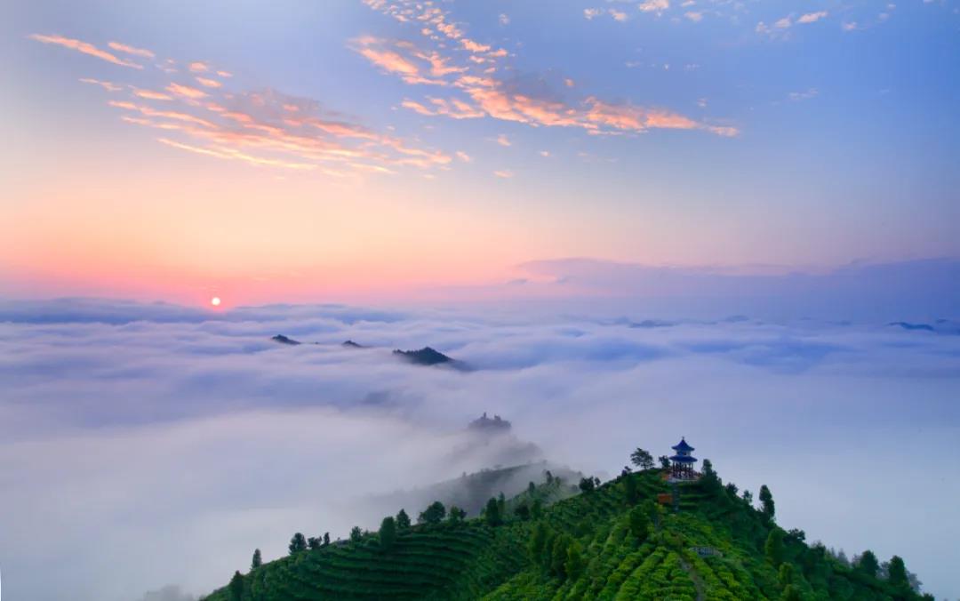 d9aac221aabd558f0b95c740bfcd990d.jpg