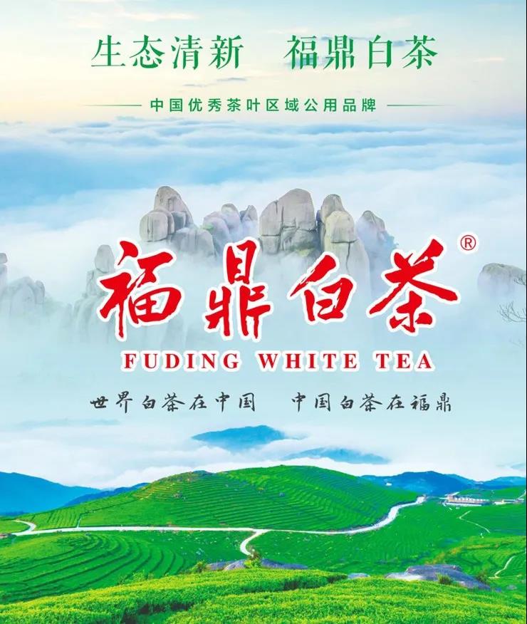 7bb1e2b22da9fc5818cba937caea4601.jpg 7bb1e2b22da9fc5818cba937caea4601.jpg