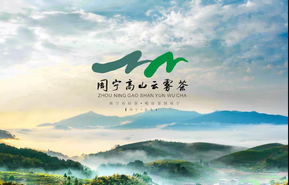 e133fa375941bd7d2eae90ccd9167c88.jpg e133fa375941bd7d2eae90ccd9167c88.jpg