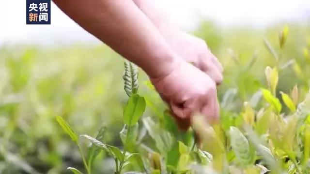 486f88d1379b30526976b7bb48f29b2b.jpg 486f88d1379b30526976b7bb48f29b2b.jpg