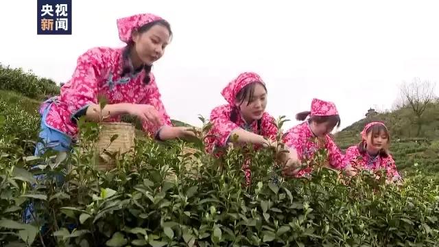 97733ca036629169dcf9c7730eaf5a8e.jpg 97733ca036629169dcf9c7730eaf5a8e.jpg