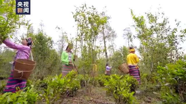 9ff472ad21b203884ce970bfaa9c32a2.jpg 9ff472ad21b203884ce970bfaa9c32a2.jpg