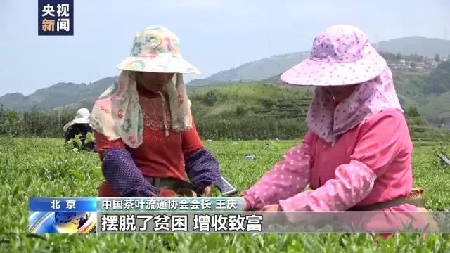 c433c69ffa5ab69db6f6cb49dddbf0d4.jpg c433c69ffa5ab69db6f6cb49dddbf0d4.jpg