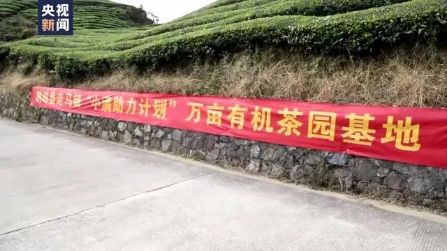 d45bf6e1d4d6d5ec597da06d52f2ae0a.jpg d45bf6e1d4d6d5ec597da06d52f2ae0a.jpg