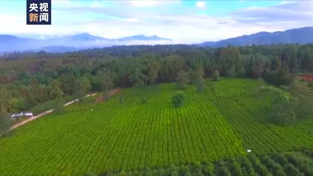 f2c96e806915456ce8727876e871d411.jpg f2c96e806915456ce8727876e871d411.jpg