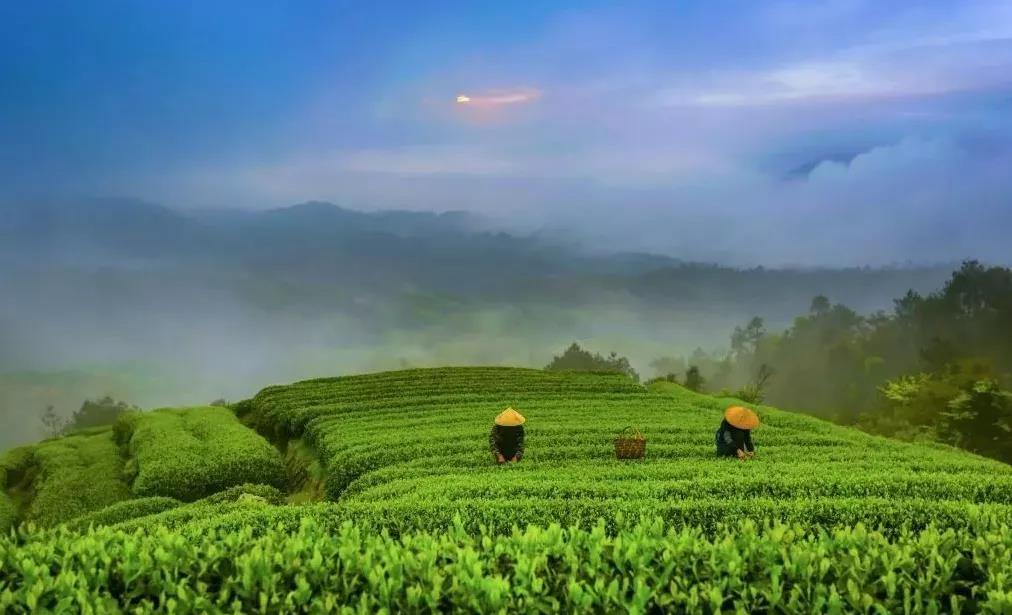 fb80ffd75c41d65984b82a076e3e6ff9.jpg fb80ffd75c41d65984b82a076e3e6ff9.jpg