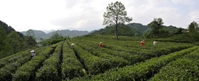 8276ce412bee5fb5b1bf3979d39cf945.jpg 8276ce412bee5fb5b1bf3979d39cf945.jpg