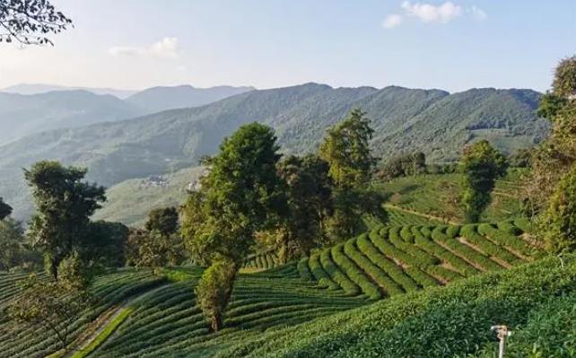 297b412ae0a2ec52df1a7ae6cda08622.jpg 297b412ae0a2ec52df1a7ae6cda08622.jpg