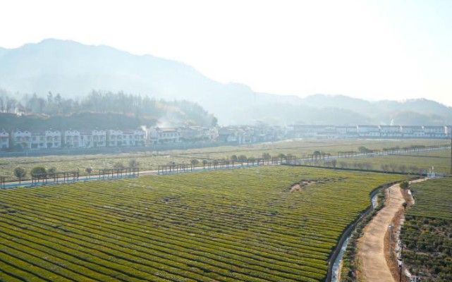 2fdfa2fe1964ec3530614e7b91a88af8.jpg 2fdfa2fe1964ec3530614e7b91a88af8.jpg