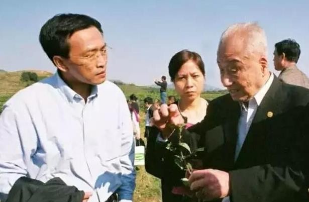 一席话，让一名地产商转身化作红茶追梦人——记张老与元泰红茶的故事