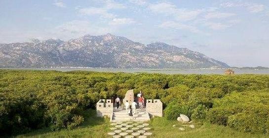 云霄茶旅融合发展新路径 助力茶产业发展