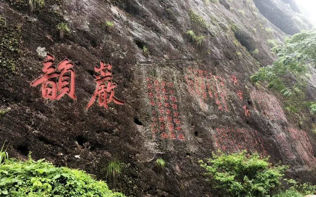 让武夷岩茶成为“品质”的代名词