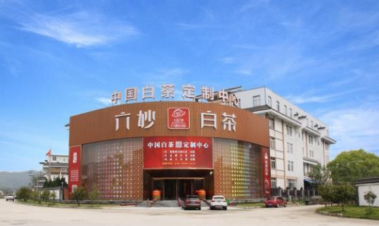 宁德市领导赴福鼎、蕉城开展调研茶产业