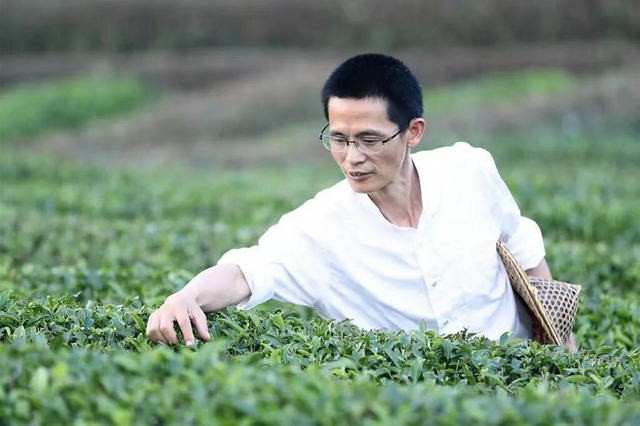 刘国英：专注的做茶师傅
