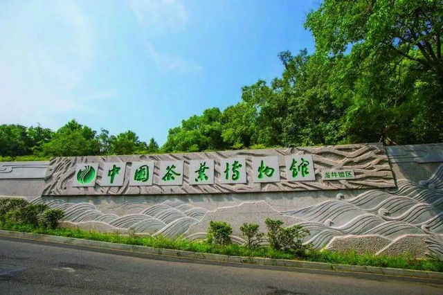 2020中国茶叶博物馆标准茶样征集活动启动啦！