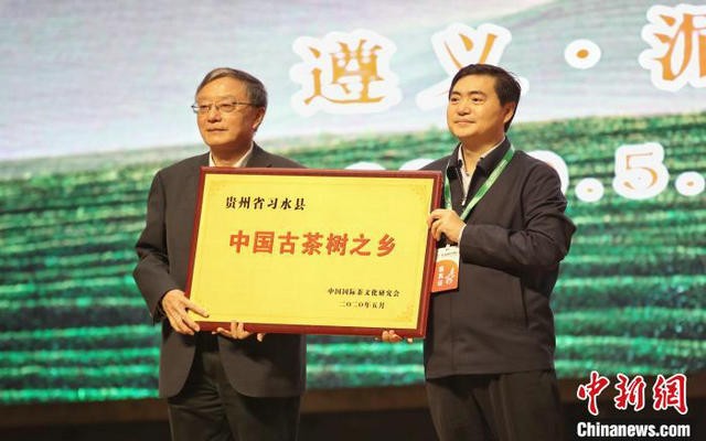 贵州习水县被授予“中国古茶树之乡”