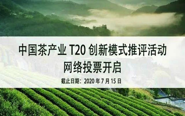 等你来投票！中国茶产业T20创新模式推评活动网络投票火热来袭~~