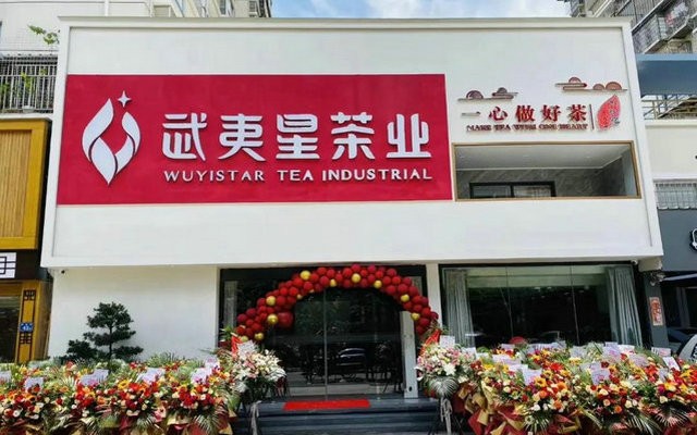 武夷星|阳光正好，瑞景绽放！