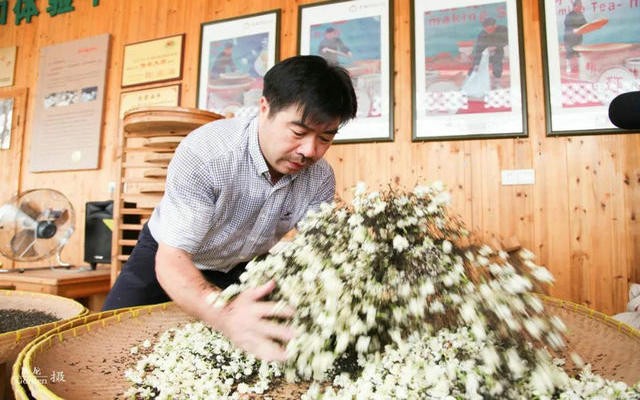傅天龙：脱贫致富花为媒