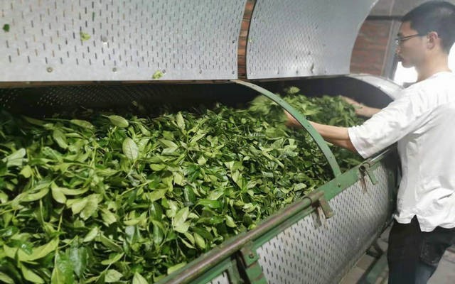 关于举办2020年“武夷山市 茶艺师职业技能竞赛”的通知