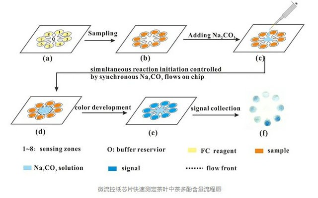 中国农科院研发10分钟测茶多酚含量技术