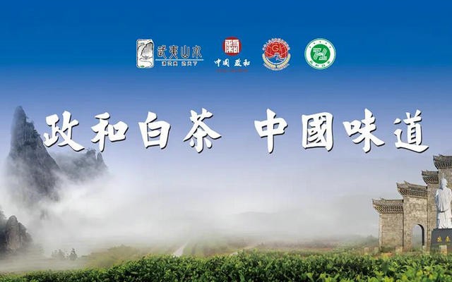 3月25日，第三届中国政和白茶开茶节将在星溪乡富美村举行
