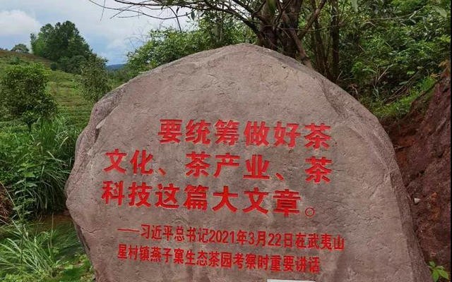 中茶协应邀参加农业农村部闽川两省茶业调研