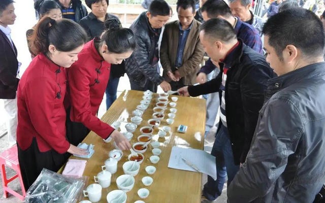 泰宁“三茶”，茶茶独特，茶茶有味