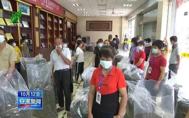 感德镇：秋茶优质上市 茶市交易繁忙