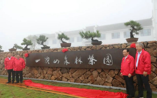 福鼎白茶：健康产业助推“公益动力”