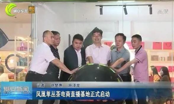 凤凰单丛茶电商直播基地正式启动